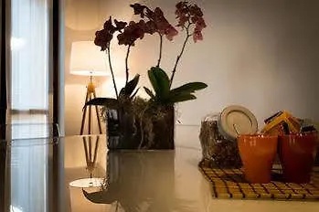 Verona Design 2*,