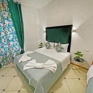 Vitti's 3 Verona